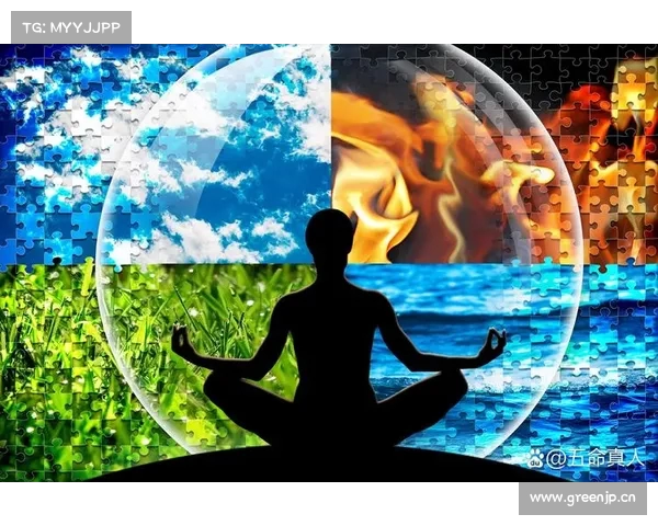 穹顶下的崛起与命运交织 人类最后的希望与挑战 穹顶下的崛起与命运交织 人类最后的希望与挑战
